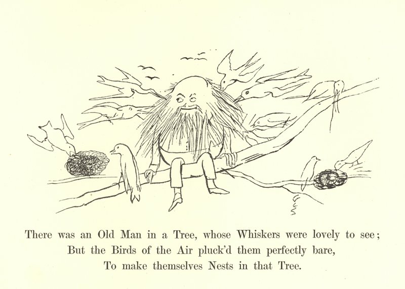 Byl tam starý muž na stromě, jehož vousy bylo krásné vidět od Edward Lear