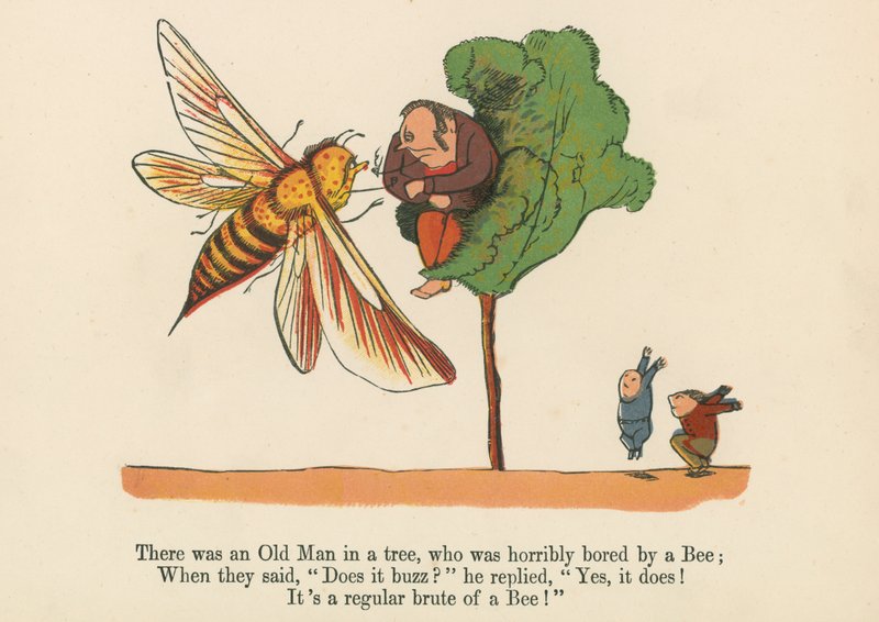 Byl tam starý muž na stromě, kterého včela strašně nudila, z knihy „Kniha nesmyslů“, kterou vydal Frederick Warne and Co., Londýn, kolem roku 1875 od Edward Lear