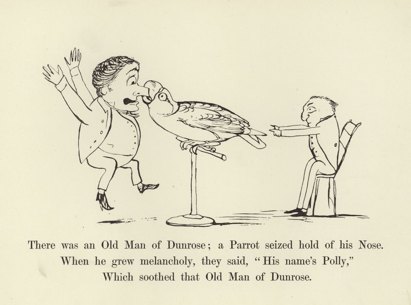 Byl jeden stařec z Dunrose; papoušek se ho chytil za nos. od Edward Lear