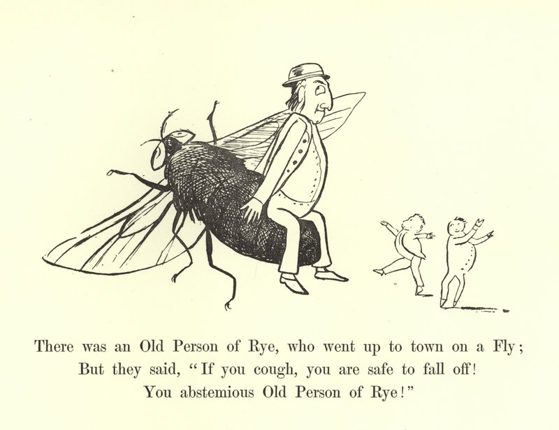 Byl jeden starý člověk ze Žitného, který se vydal do města na Fly od Edward Lear