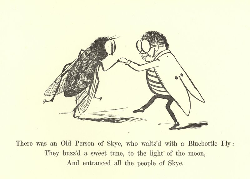 Byla tam stará osoba Skye, která tančila s modrou mouchou od Edward Lear