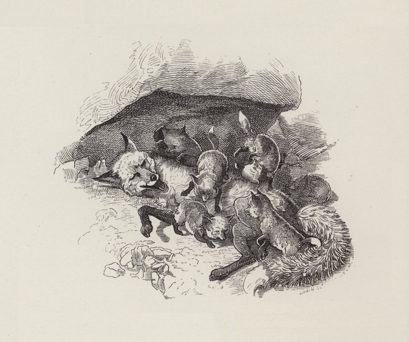 Ilustrace pro The Water-Babies od Charlese Kingsleyho (rytina) od Edward Linley (after) Sambourne