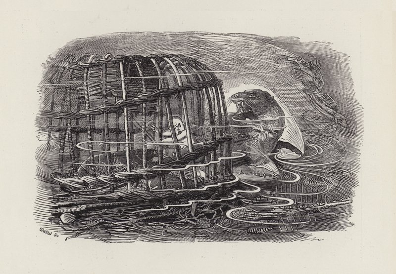 Ilustrace pro The Water-Babies od Charlese Kingsleyho (rytina) od Edward Linley (after) Sambourne