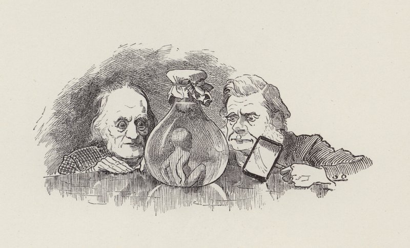 Ilustrace pro The Water-Babies od Charlese Kingsleyho (rytina) od Edward Linley (after) Sambourne