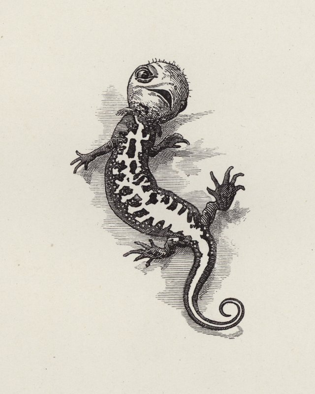 Ilustrace pro The Water-Babies od Charlese Kingsleyho (rytina) od Edward Linley (after) Sambourne