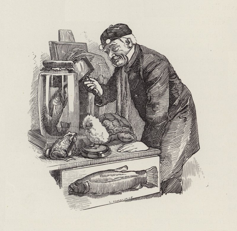 Ilustrace pro The Water-Babies od Charlese Kingsleyho (rytina) od Edward Linley (after) Sambourne