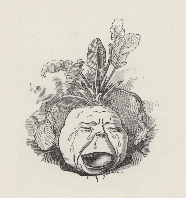 Ilustrace pro The Water-Babies od Charlese Kingsleyho (rytina) od Edward Linley (after) Sambourne