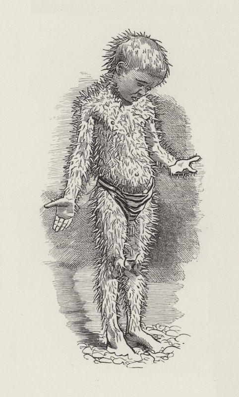 Ilustrace pro The Water-Babies od Charlese Kingsleyho (rytina) od Edward Linley (after) Sambourne
