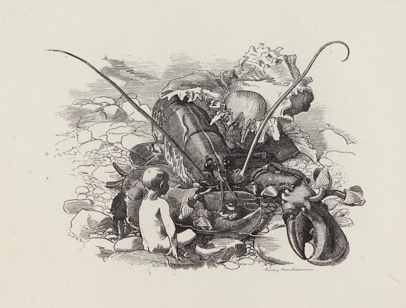 Ilustrace pro The Water-Babies od Charlese Kingsleyho (rytina) od Edward Linley (after) Sambourne