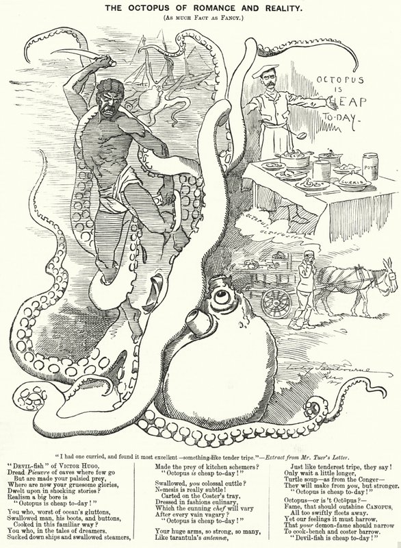 Punch cartoon: Chobotnice romantiky a reality (rytina) od Edward Linley (after) Sambourne