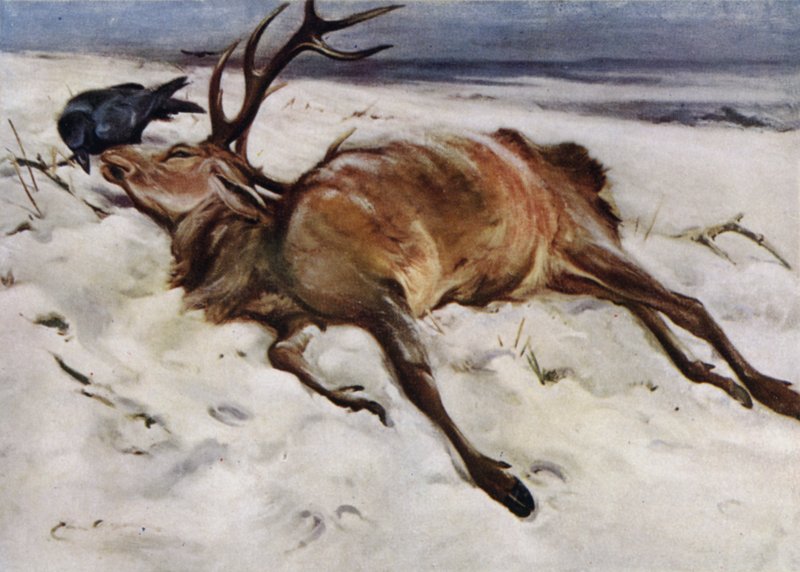 Mrtvý jelen od Edwin John Alexander