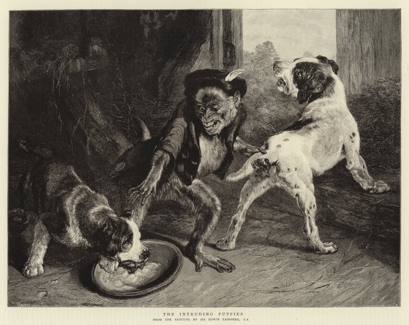 Vetřelá štěňata od Edwin Landseer