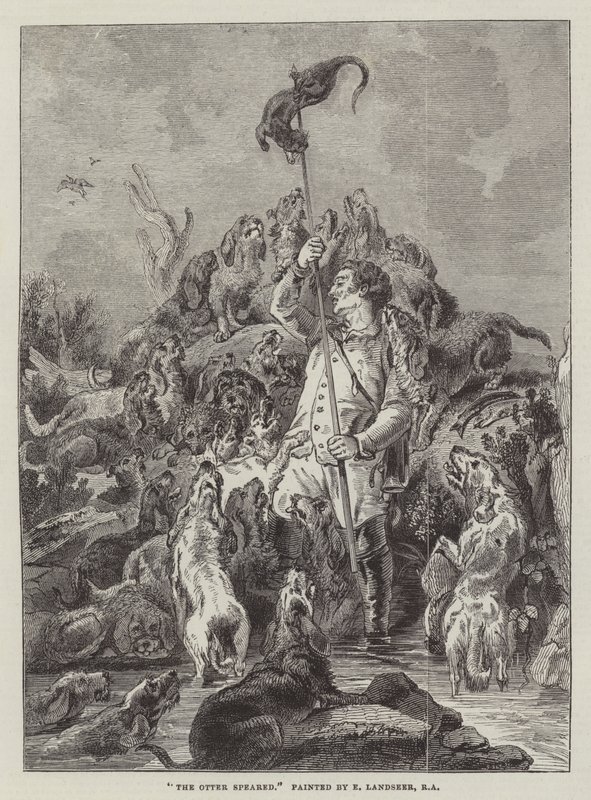 Otter Speared od Edwin Landseer