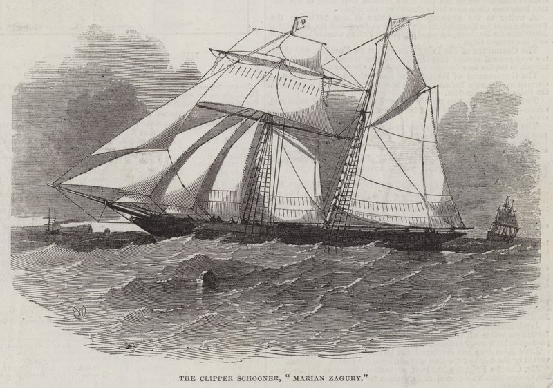 Clipper Schooner, Marin Zagury od Edwin Weedon