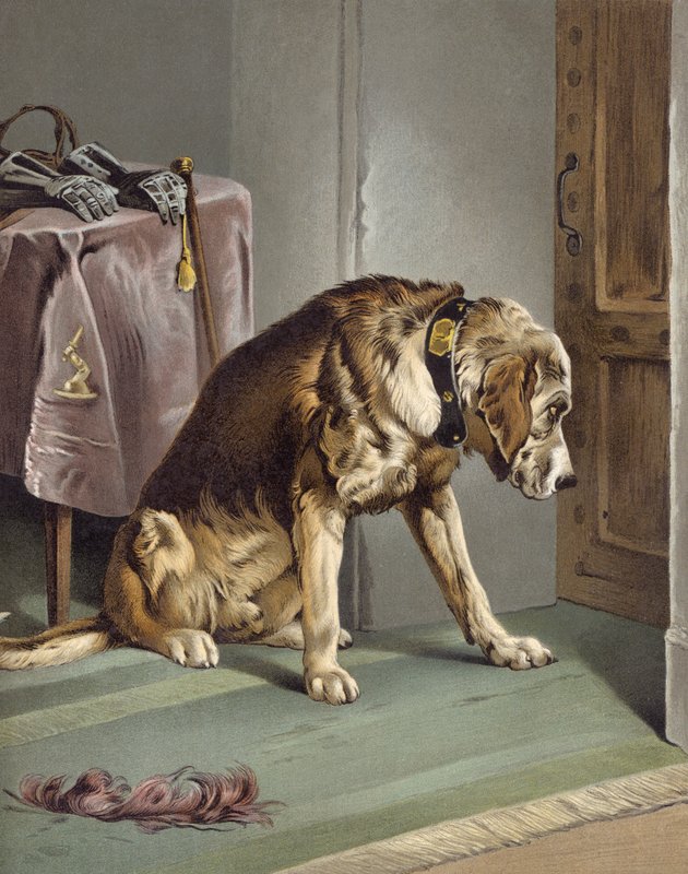 Napětí od Edwin after Landseer