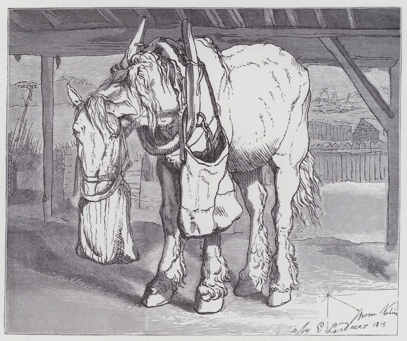 Vozíkový kůň od Edwin (after) Landseer