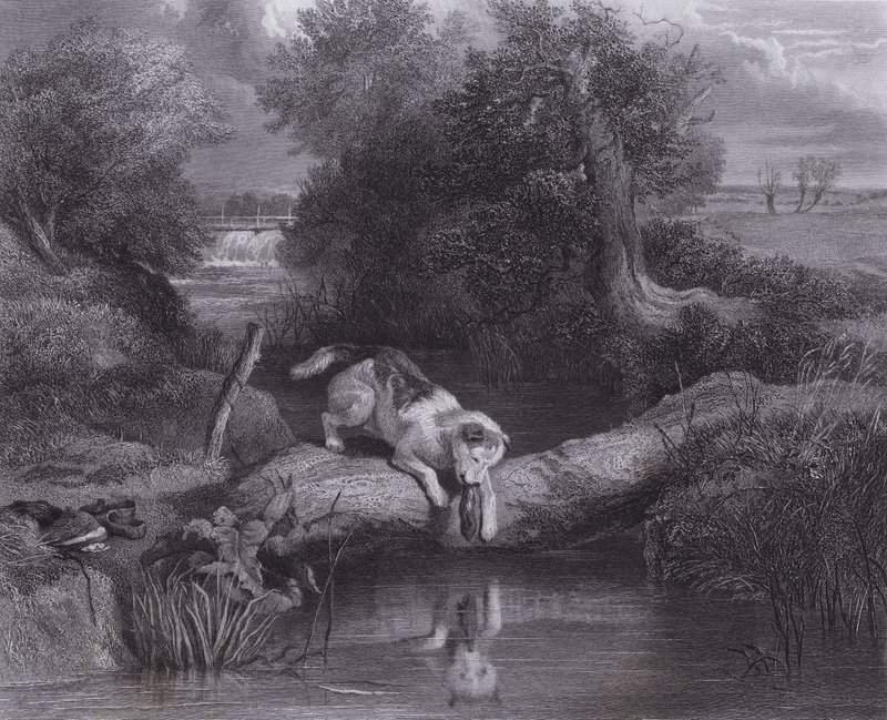 Pes a stín (rytina) od Edwin (after) Landseer