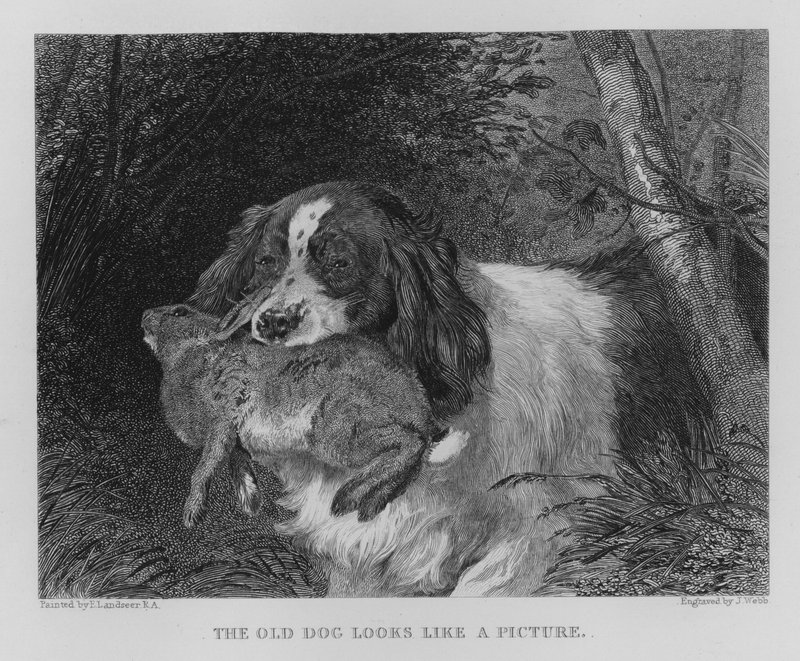 Závěsný od Edwin (after) Landseer