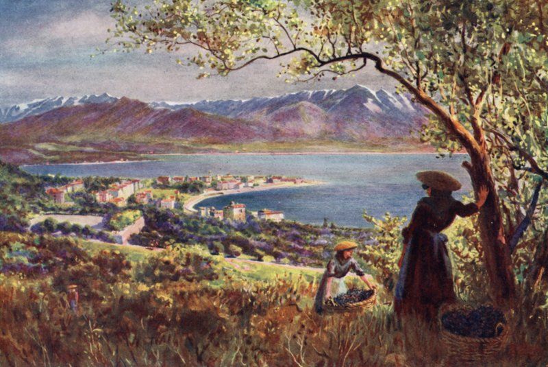Korsika: Celkový pohled na Ajaccio (barevné foto) od Edwin Arthur Norbury