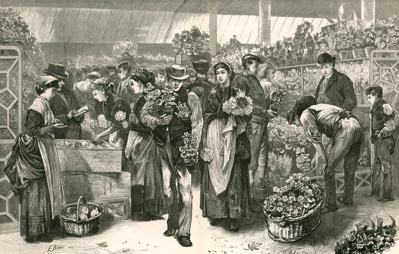 Květinový trh, Covent Garden, Londýn od Edwin Buckman