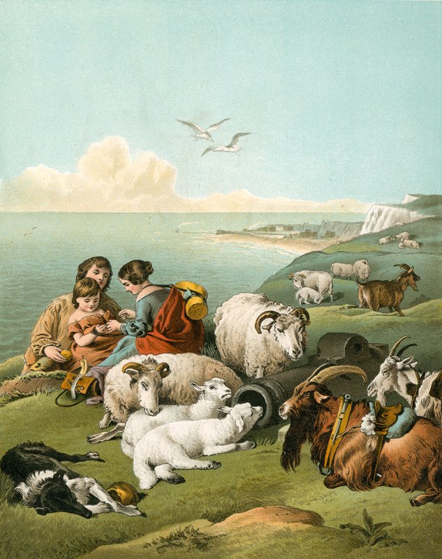 Děti si hrají s ovcemi a kozami na bílých útesech od Edwin Landseer