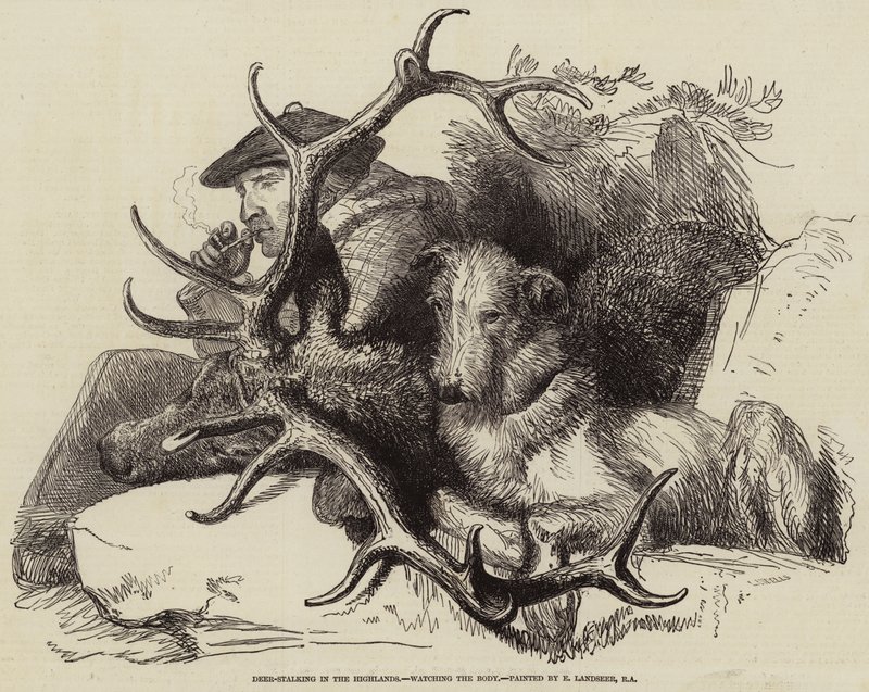 Sledování jelenů na Vysočině, sledování těla od Edwin Landseer