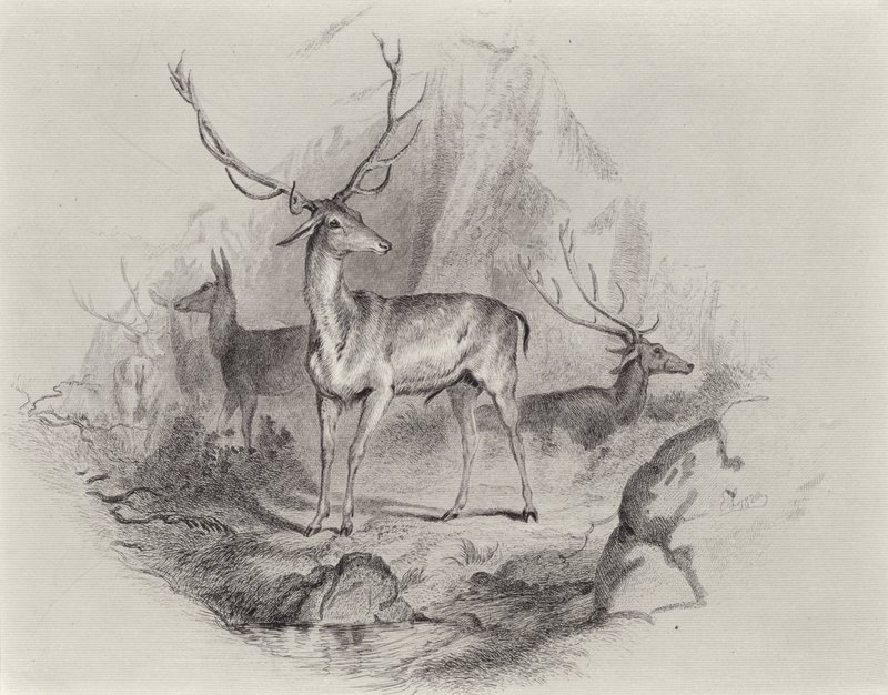 V Glenu od Edwin Landseer