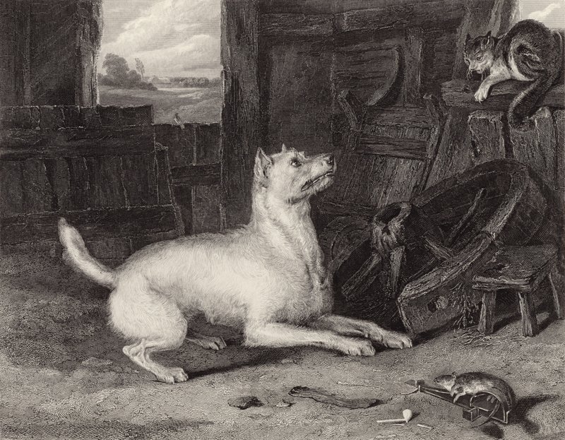 Vetřelec od Edwin Landseer