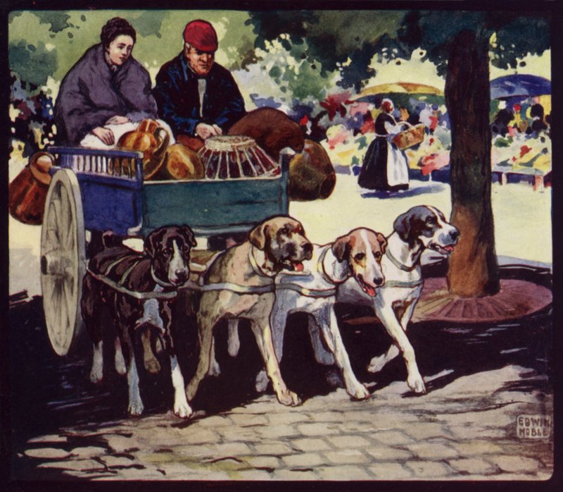 Francouzský psí vozík (barevný litho) od Edwin Noble
