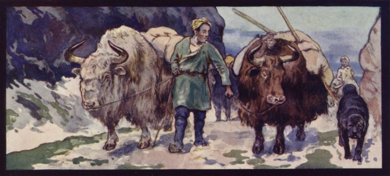 Thibetan Yak Train (barevní členové) od Edwin Noble