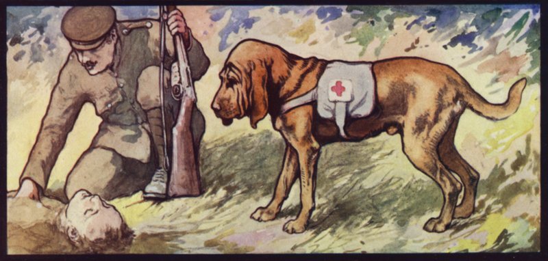 Ambulance Bloodhound od Edwin Noble