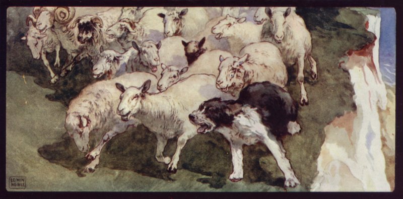 Bobtailed ovčácký pes a stádo na útesech (barva litho) od Edwin Noble