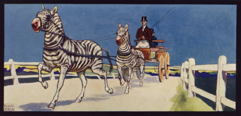 Řidičské zebry, tandem (barevné lito) od Edwin Noble