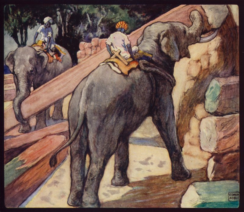 Sloni hromadí teak (barva litho) od Edwin Noble
