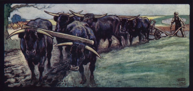 Orba volů na Sussex Downs (barevné lito) od Edwin Noble