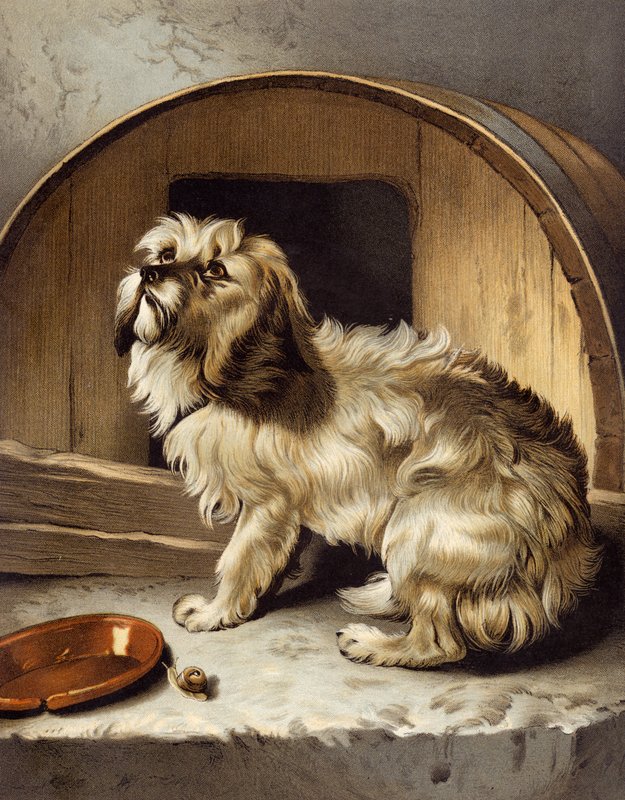 Žádné místo jako domov od Edwin after Landseer
