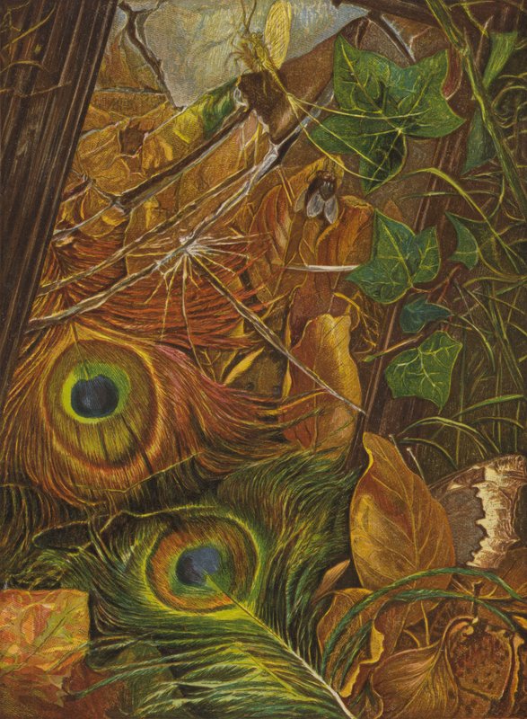 A dítě se nestaralo o zrcadlo (barva litho) od Eleanor Fortescue Brickdale