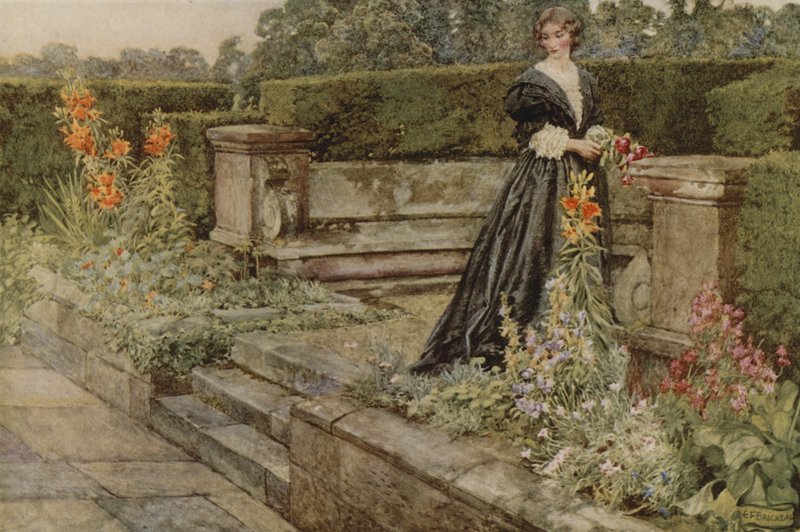 Garden Fancys, the Flower