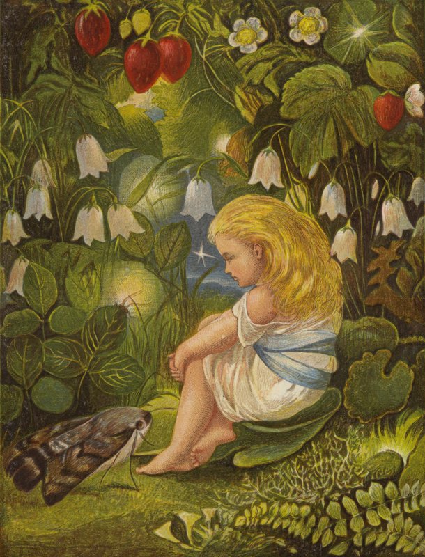 Drby s ohněm letí (barva litho) od Eleanor Fortescue Brickdale