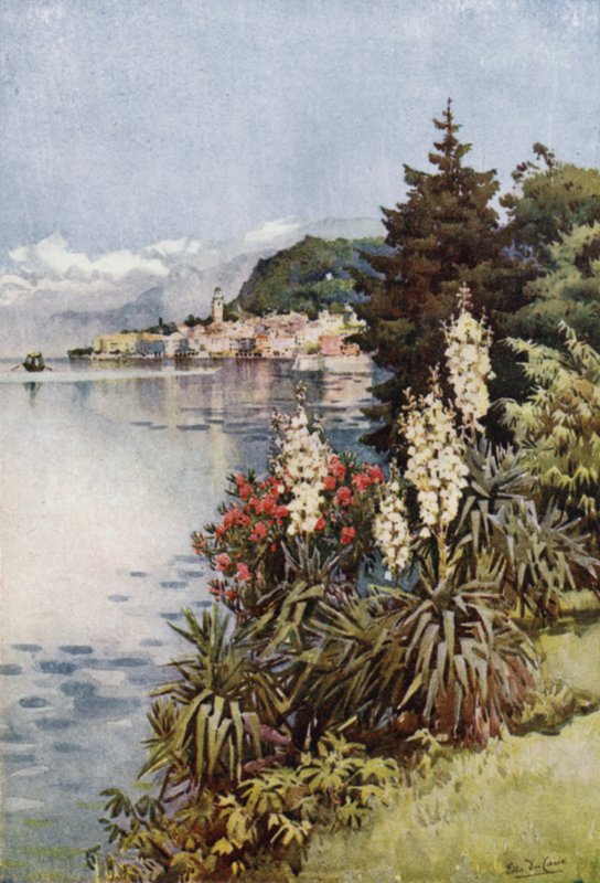 Skupina Yuccas, Villa Melzi, jezero Como (barevné lito) od Ella Du Cane