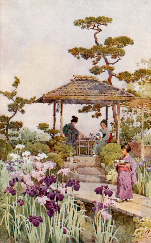 Iris Garden (barevné lito) od Ella Du Cane