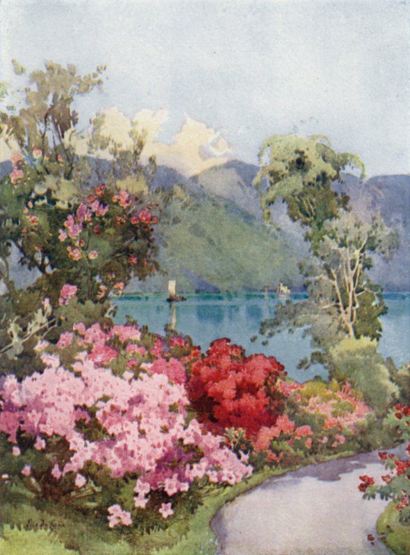 Azalky, jezero Como (barva litho) od Ella Du Cane