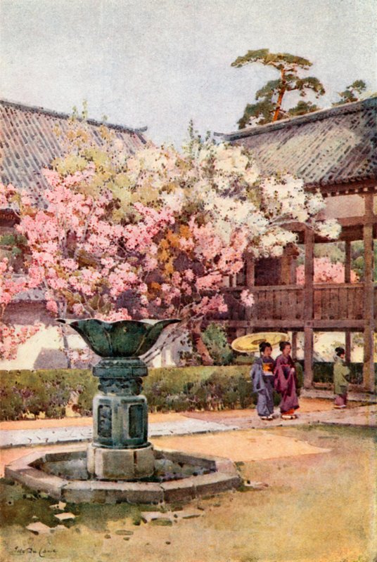Cherry Blossom, Chion-in Temple (barva lito) od Ella Du Cane