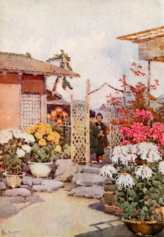 Chryzantémy, Kyoto (barva litho) od Ella Du Cane