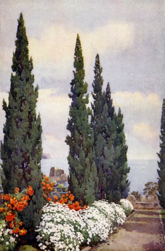 Cypress Avenue, Quinta Stanford (barevné lito) od Ella Du Cane