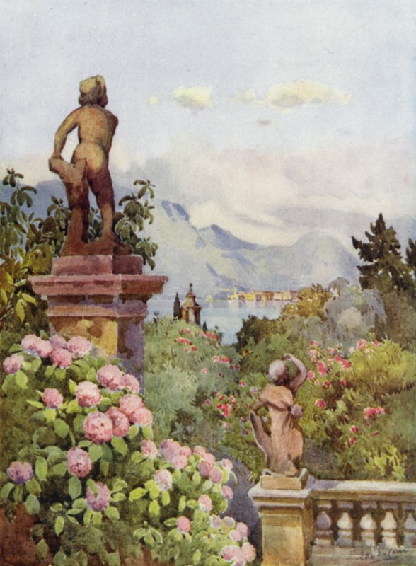 Hortenzie, Isola Bella, Lago Maggiore (barevné lito) od Ella Du Cane