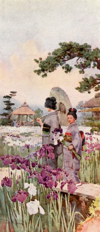 Kosatce, Horikiri (barevné litho) od Ella Du Cane