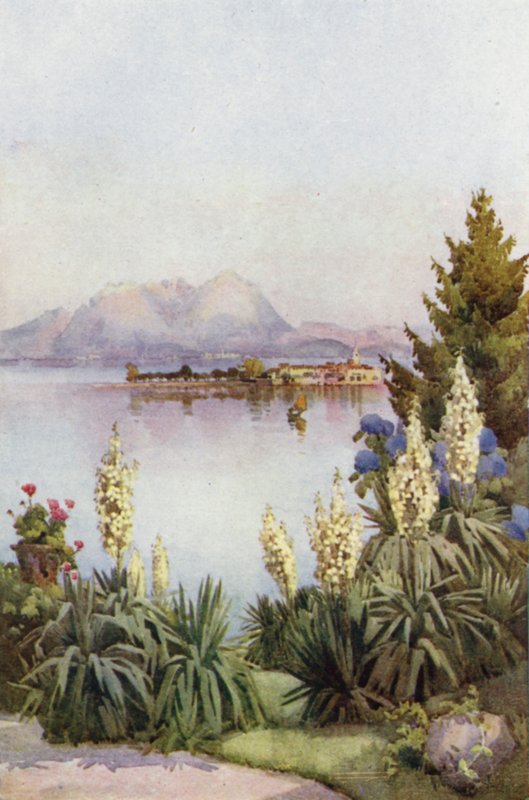 Isola Pescatori z Baveno, jezero Maggiore (barva litho) od Ella Du Cane