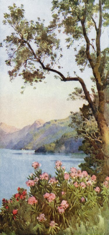 Jezero Lecco, jezero Como (barva litho) od Ella Du Cane