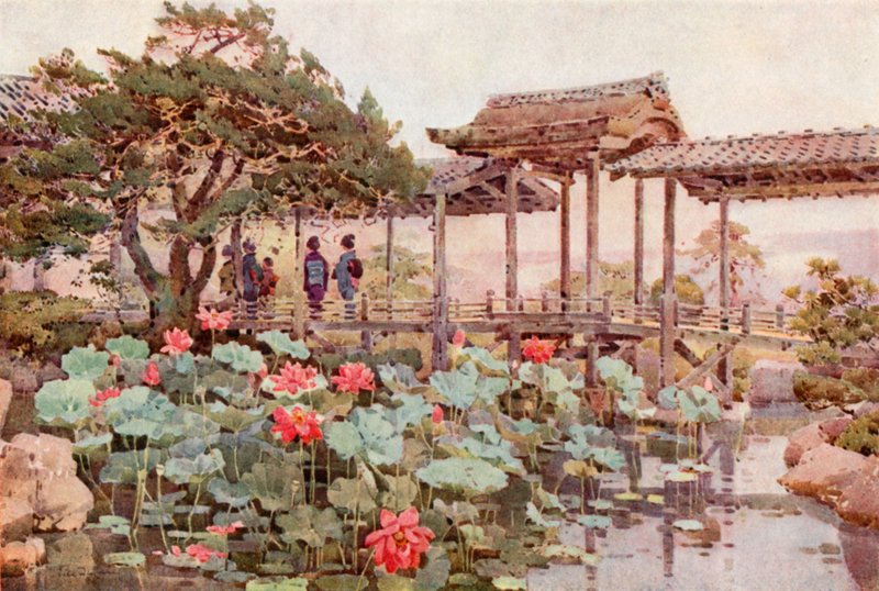 Lotus v Kodaiji (barevné lito) od Ella Du Cane